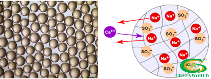 Hệ thống trao đổi ion