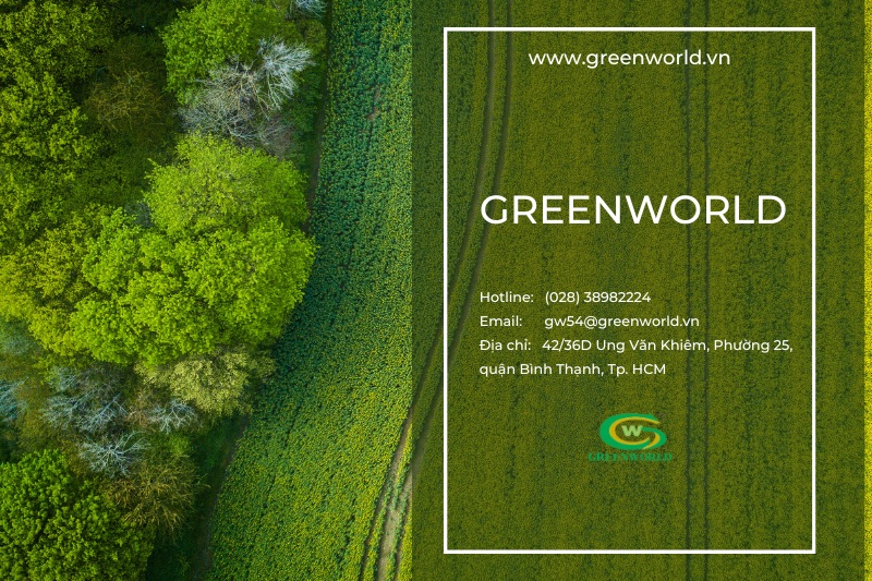 Greenworld là đơn vị hàng đầu trong lĩnh vực xử lý nước thải